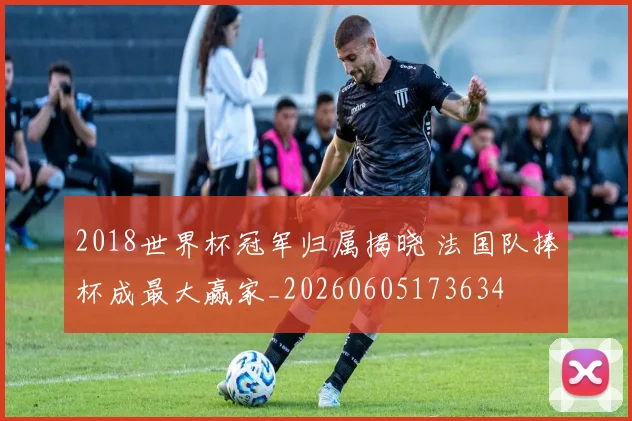 2018世界杯冠军归属揭晓 法国队捧杯成最大赢家_20260605173634