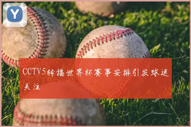 CCTV5转播世界杯赛事安排引发球迷关注