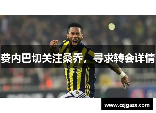 费内巴切关注桑乔，寻求转会详情