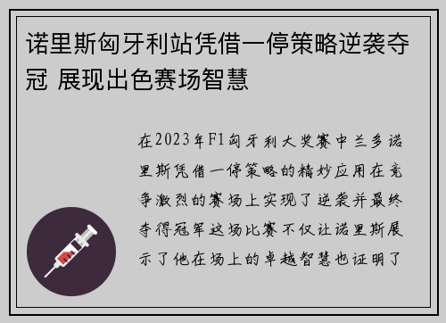 诺里斯匈牙利站凭借一停策略逆袭夺冠 展现出色赛场智慧